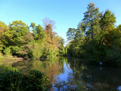 An image of the water at holly hill