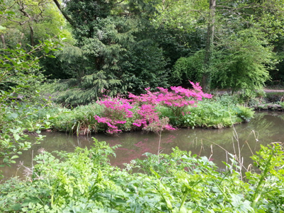 An image of the water at holly hill