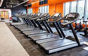 Holly Hill Leisure Centre treadmills