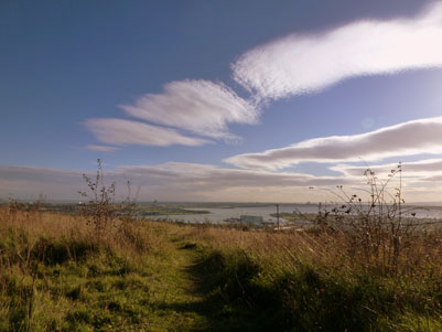 An image of Portchester Common walking route