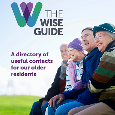 Image of the Wise Guide logo above people sitting outside