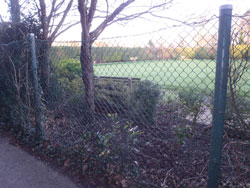 Crofton Bowls before image