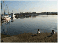 Fareham Creek from Slipway