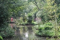 A picture of a lake at Holly Hill Woodland Park