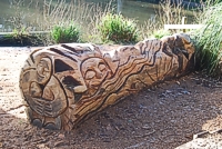 An image of a bench at Holly Hill woodland park