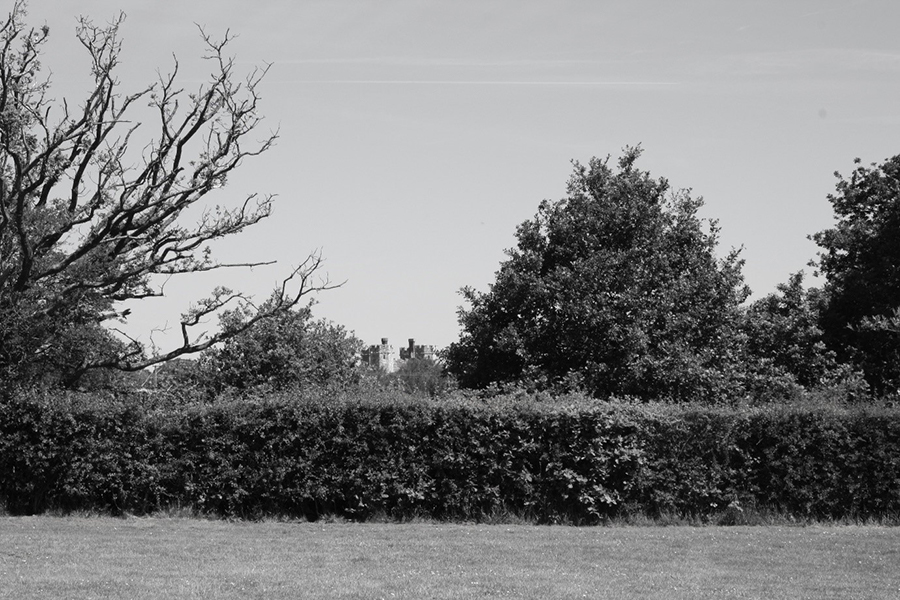 Image of countryside with Titchfield Abbey in the distance