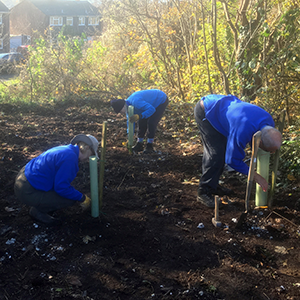 Anson Grove volunteer work