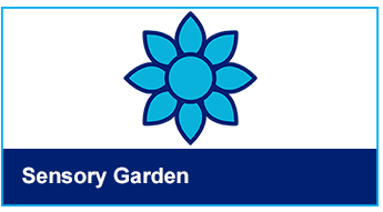 Sensory Garden