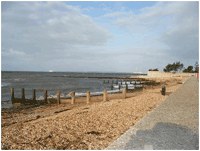 Salterns Beach