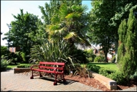 A photo of a bench at the Sensory Gardens