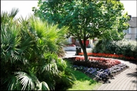 A photo of the flower beds at the Sensory Garden