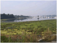 A picture of Swanwick foreshore