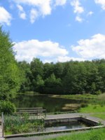 an image of swanwick lakes