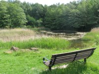 a landscape image of swanwick lakes