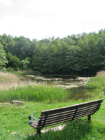 An image of Swanwick Nature Reserve