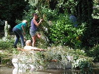 An image of volunteers cutting branches