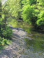 An image of the River Wallington