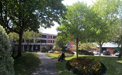 Trees in the Civic Gardens