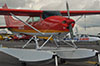 thumbnail of red sea plane