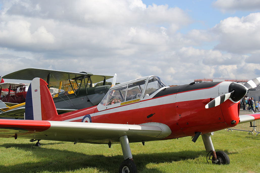 Chipmunk trainer