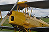 Thumbnail Tigermoth