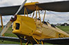 Thumbnail Tigermoth