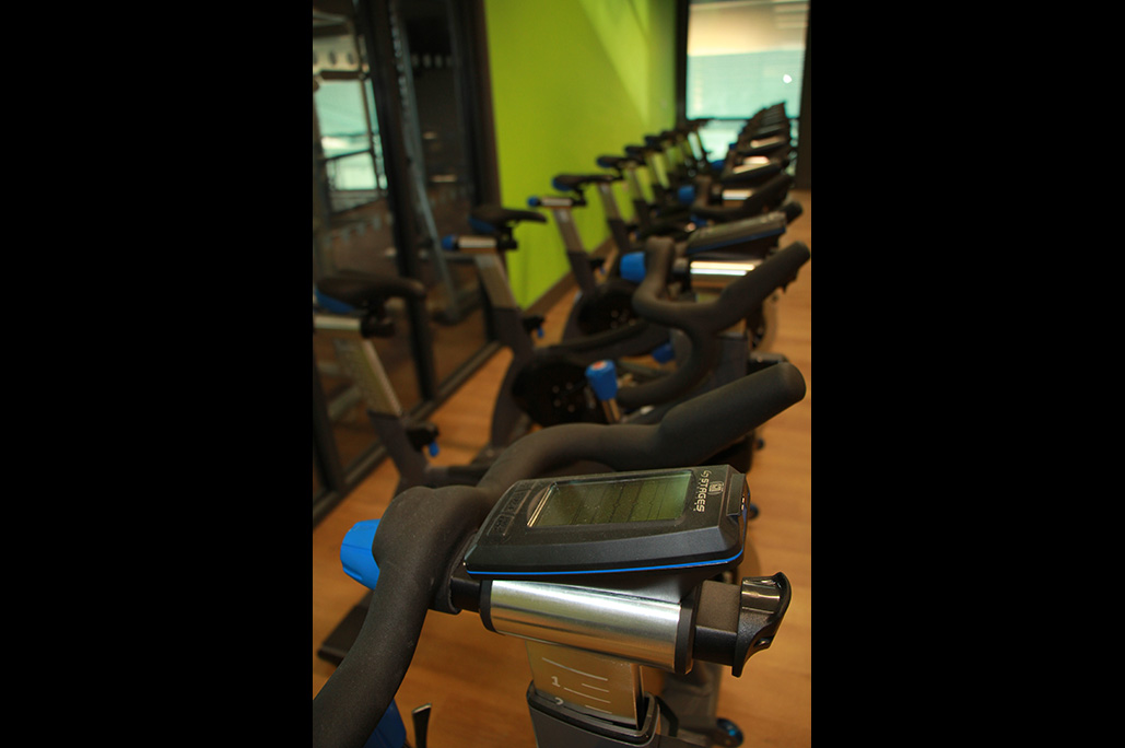 dunham's sports exercise bikes