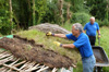 Thumbnail of Planting sedum roof