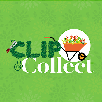 clip and collect logo