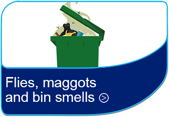 Flies, maggots and bin smells