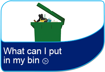 What can I put in my bin?