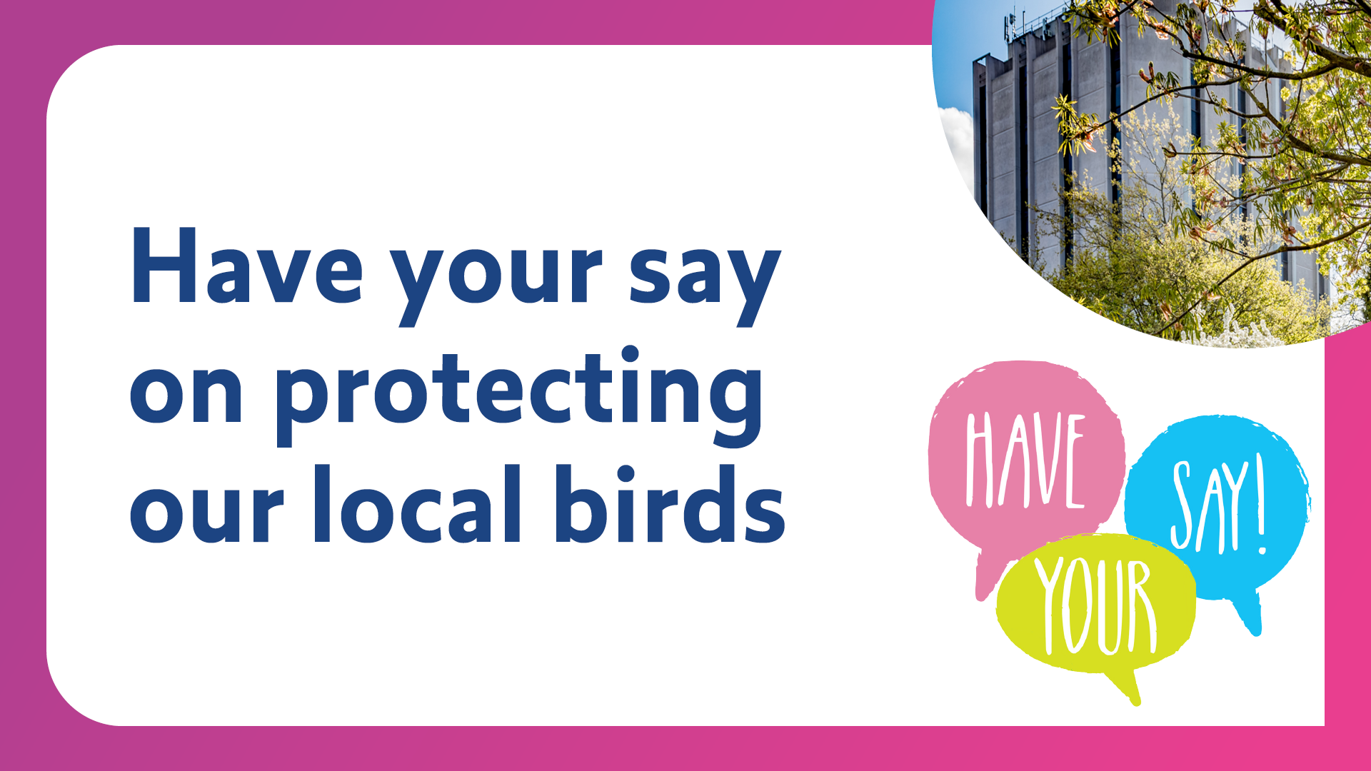 Have your say on protecting our local birds