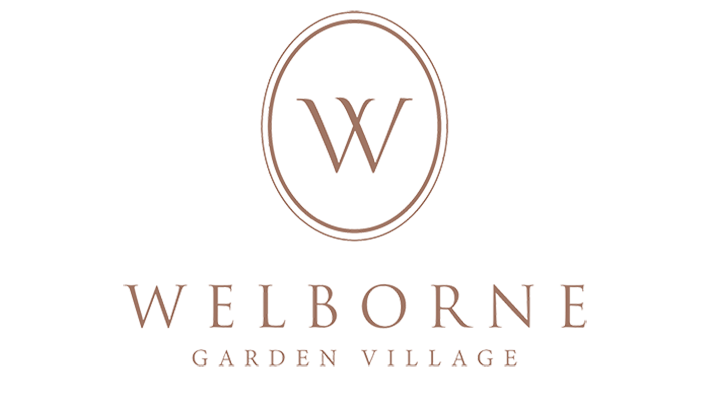 Welborne planning applications
