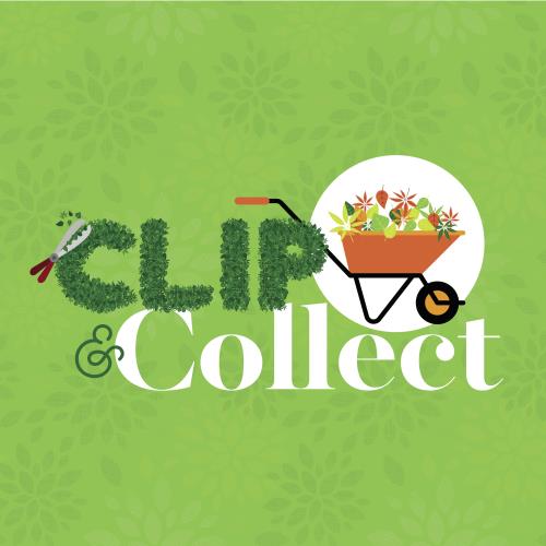 Fareham Clip and Collect 