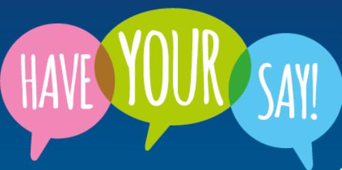 Have your say logo