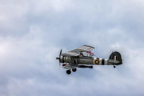 Solent Airport Daedalus