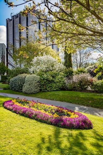 Civic Gardens
