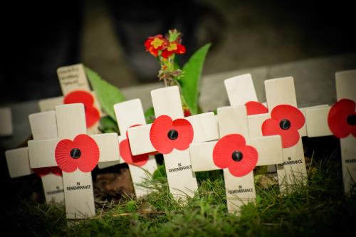 Poppies for Remembrance 